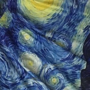 The Starry Night Skater Skirt